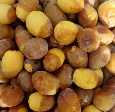 سایت اعلام قیمت انواع خرما