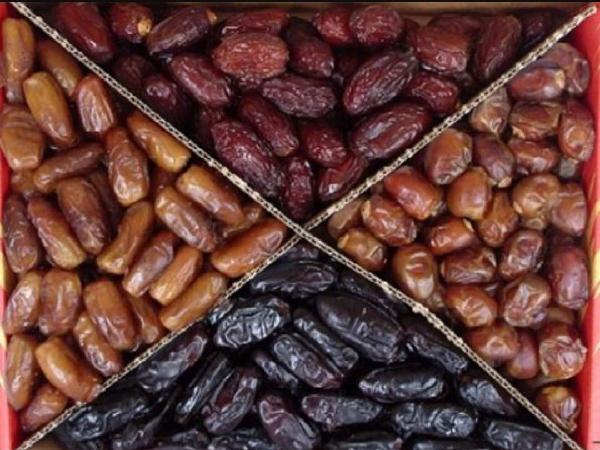 سفارش اینترنتی خرمای مضافتی سراوان