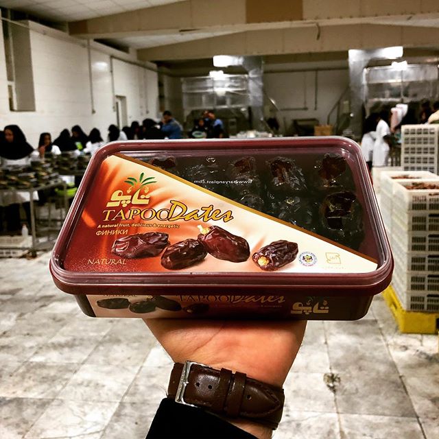 خرمای کبکاب تاپو