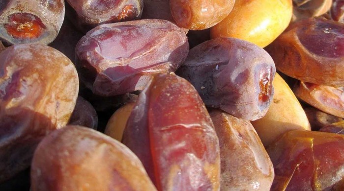 قیمت خرید عمده خرما عسلی