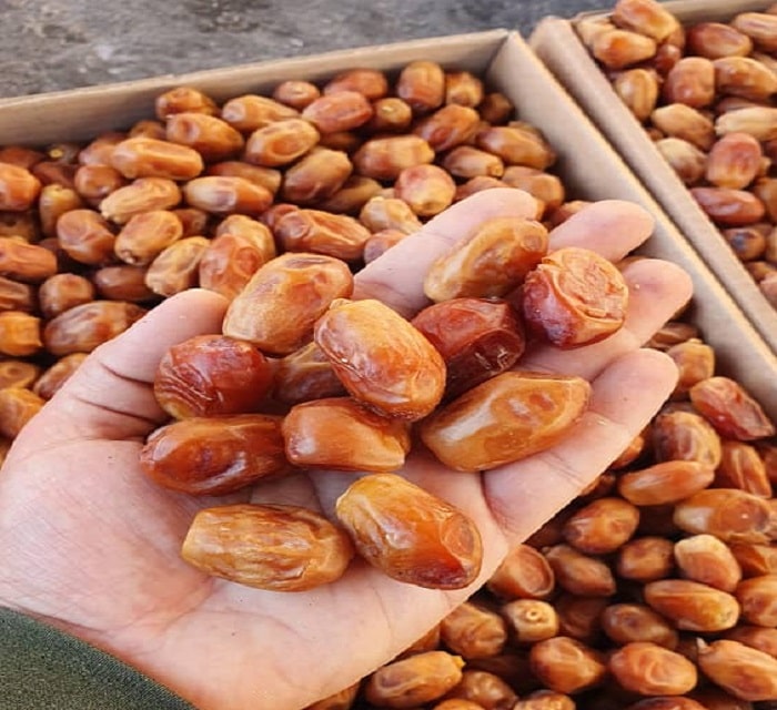 خرمای زاهدی درجه یک بوشهر