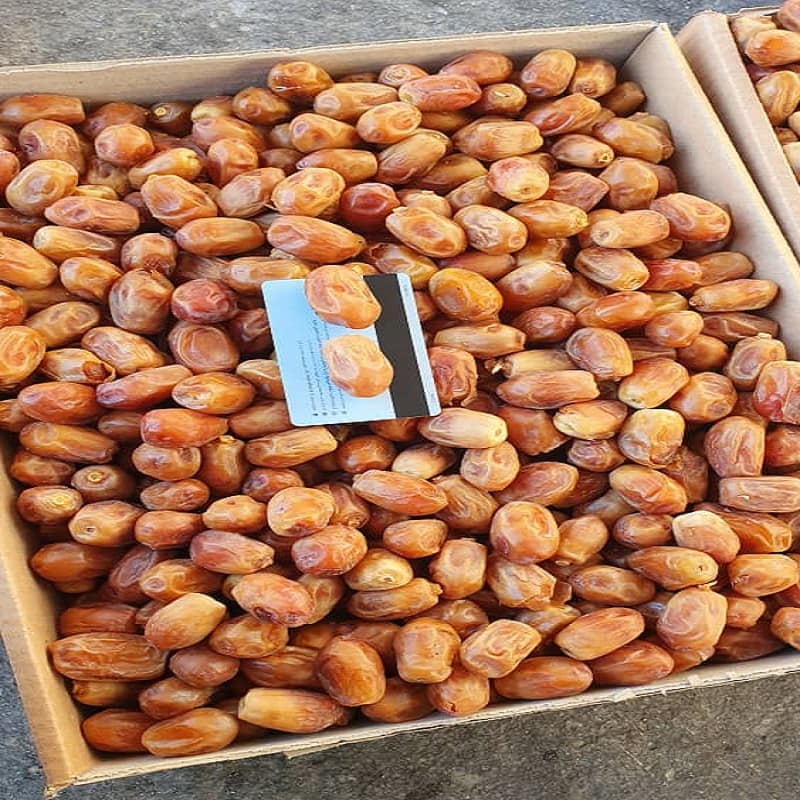 خرما زاهدی قیمت مناسب