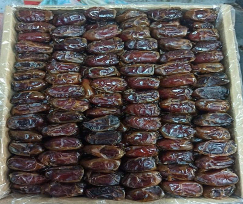 خرید عمده خرمای بوشهر