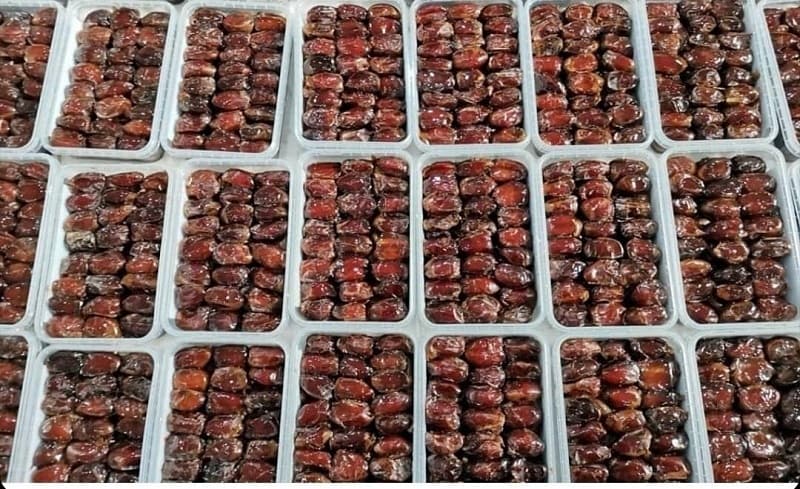 مرکز پخش خرمای کبکاب دشتستان