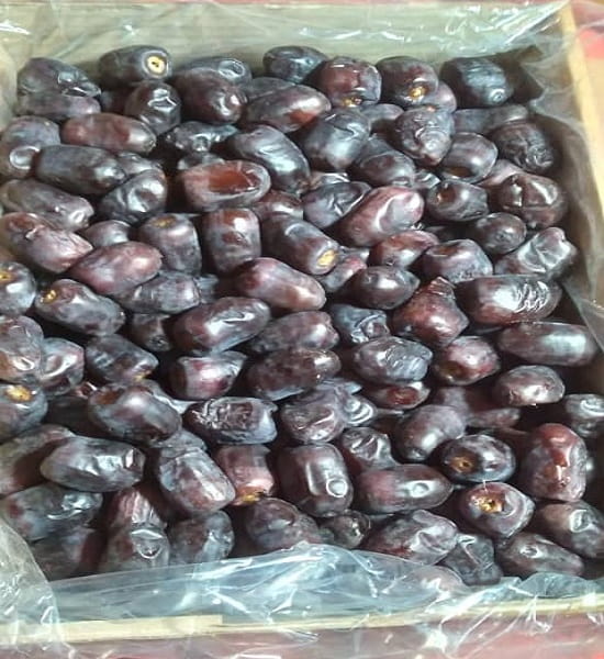 خرید خرمای مضافتی بم 