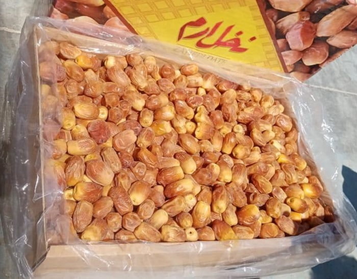 خرما زاهدی درجه یک صادراتی فله