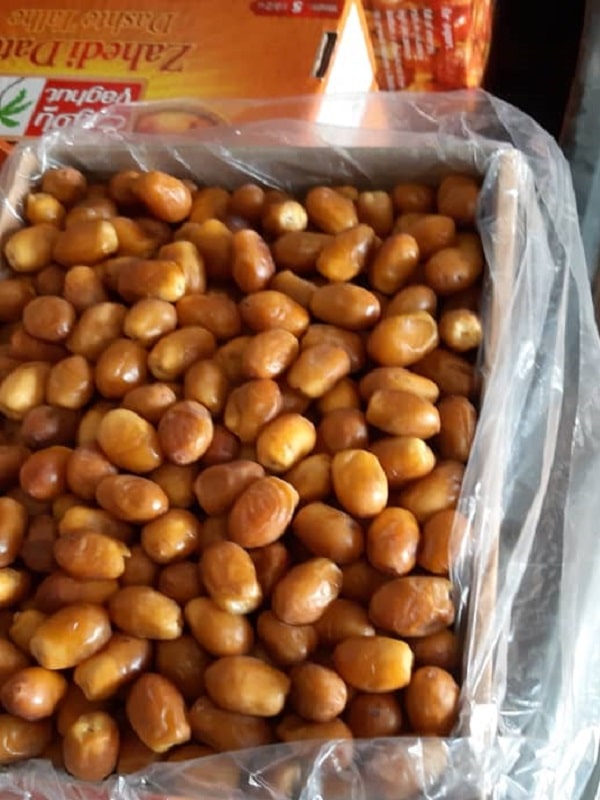 خرمای زاهدی ارزان قیمت