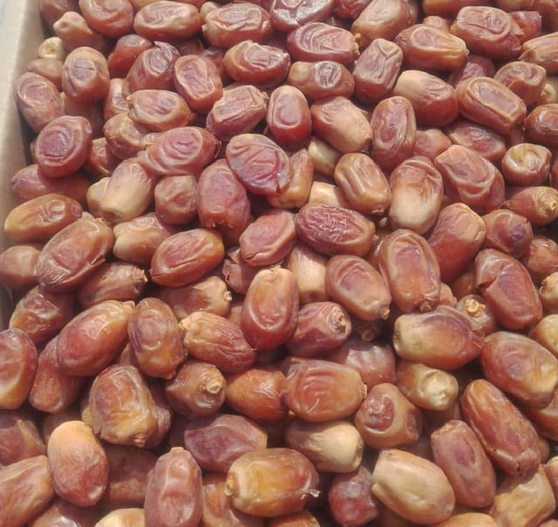 قیمت خرما زاهدی درجه یک