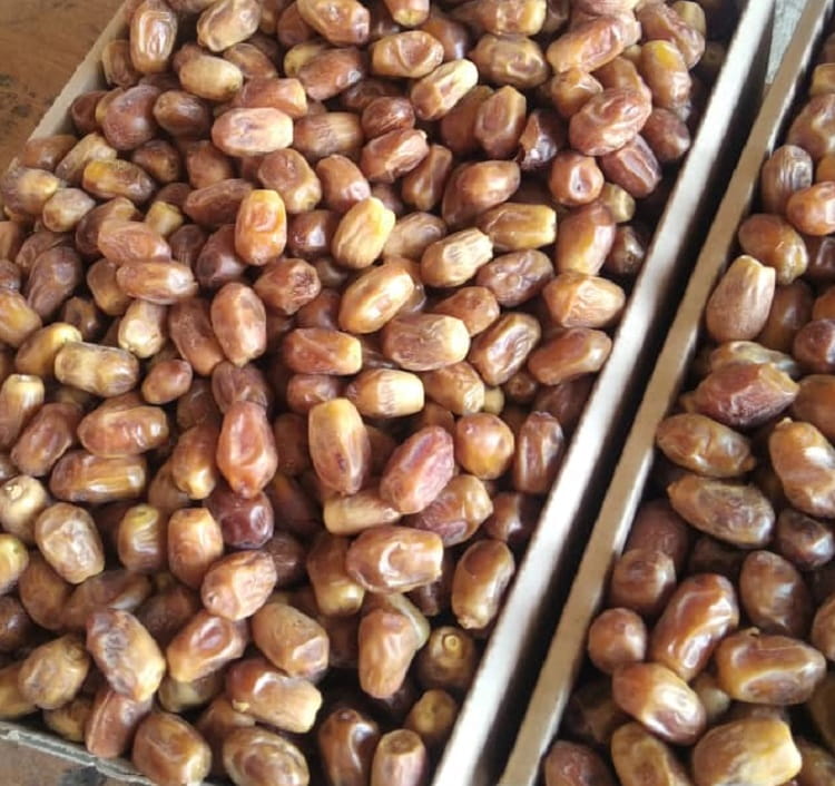 فروش عمده خرمای زاهدی بوشهر