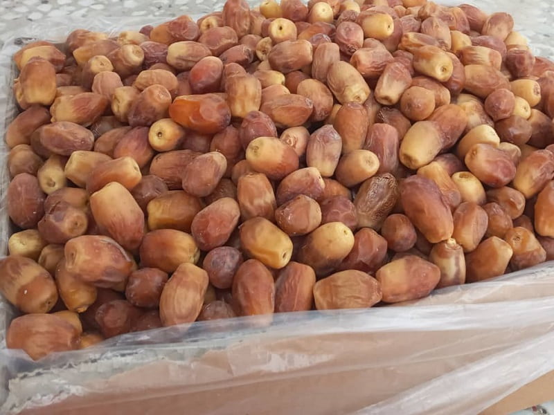 خرید عمده خرمای زاهدی پشتکوه