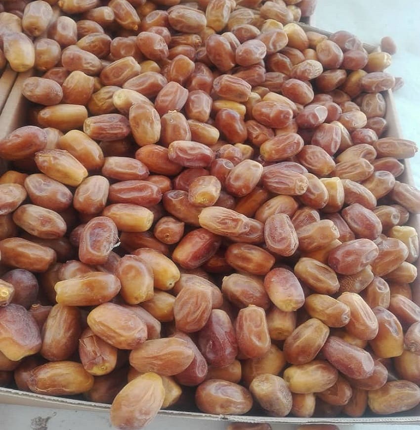 قیمت خرید عمده خرمای زاهدی صادراتی