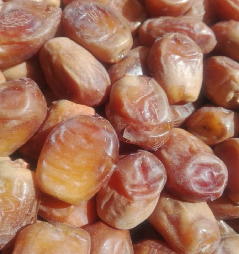 قیمت خرما زاهدی درجه یک