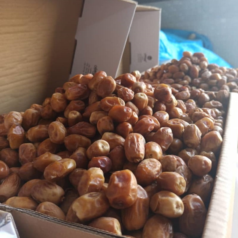 نمایندگی فروش عمده خرما زاهدی بوشهر