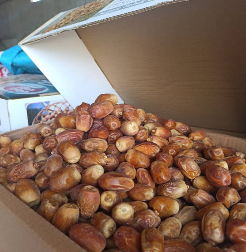 خرمای زاهدی عمده درجه یک