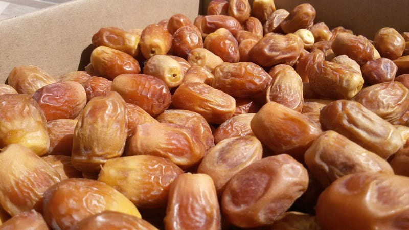 قیمت خرمای زاهدی درجه یک بوشهر