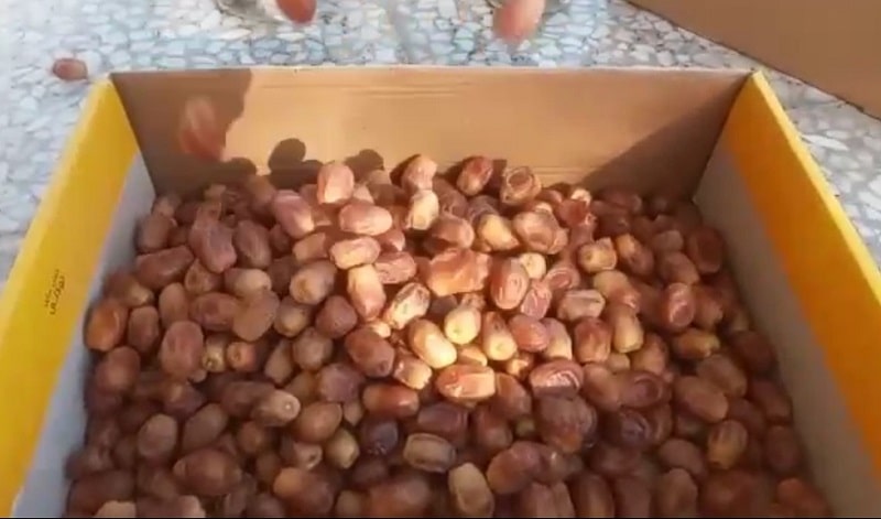 قیمت خرمای زاهدی درجه یک صادراتی