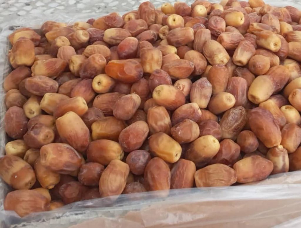 قیمت خرمای زاهدی درجه یک بوشهر