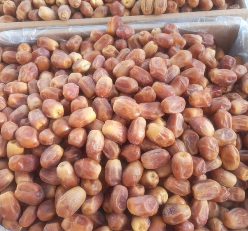 قیمت خرید خرما زاهدی درجه یک