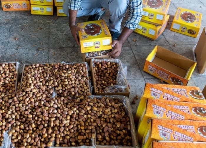 خرمای زاهدی صادراتی ایران