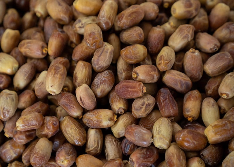 قیمت خرید خرمای زاهدی فراشبند