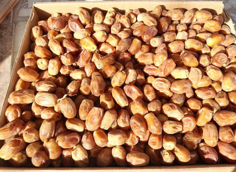 قیمت خرمای زاهدی صادراتی بوشهر