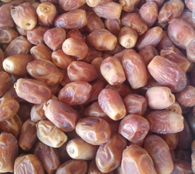 خرید خرمای زاهدی درجه یک