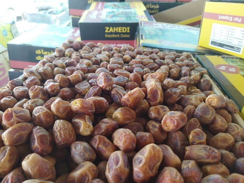 قیمت خرمای زاهدی درجه یک جهرم