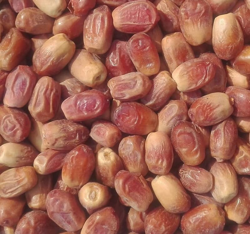 خرمای زاهدی گوشتی درجه یک