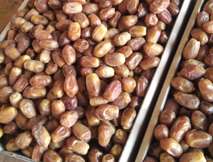 مرکز فروش عمده خرما زاهدی درجه یک