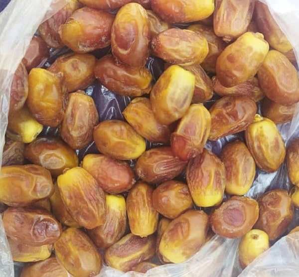 قیمت خرما زاهدی بوشهر