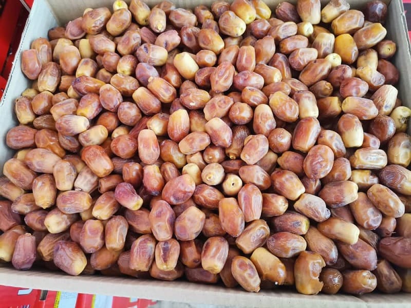 خرید خرما زاهدی ارزان