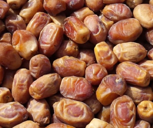 خرید خرمای زاهدی صادراتی