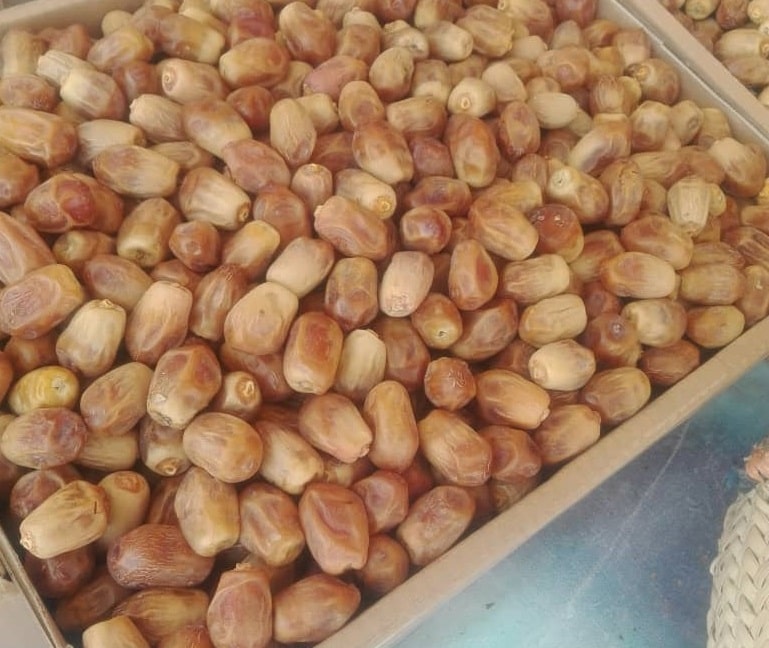 قیمت خرمای زاهدی صادراتی جهرم