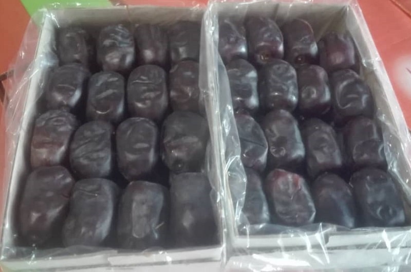 قیمت روز خرما مضافتی عمده