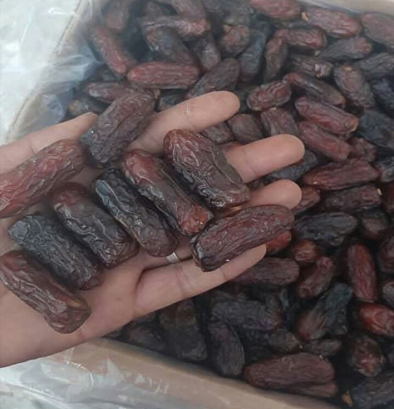 قیمت عمده خرما پیارم حاجی آباد