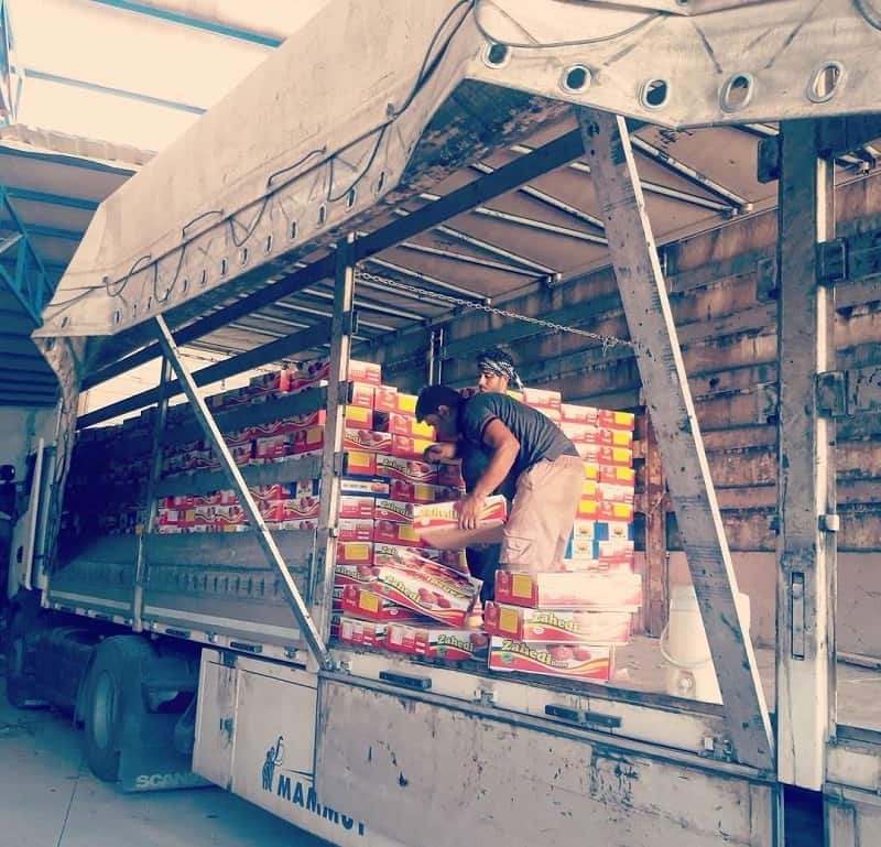 صادرات خرما زاهدی به روسیه