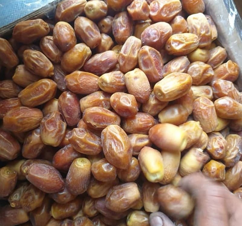 قیمت خرما زاهدی صادراتی