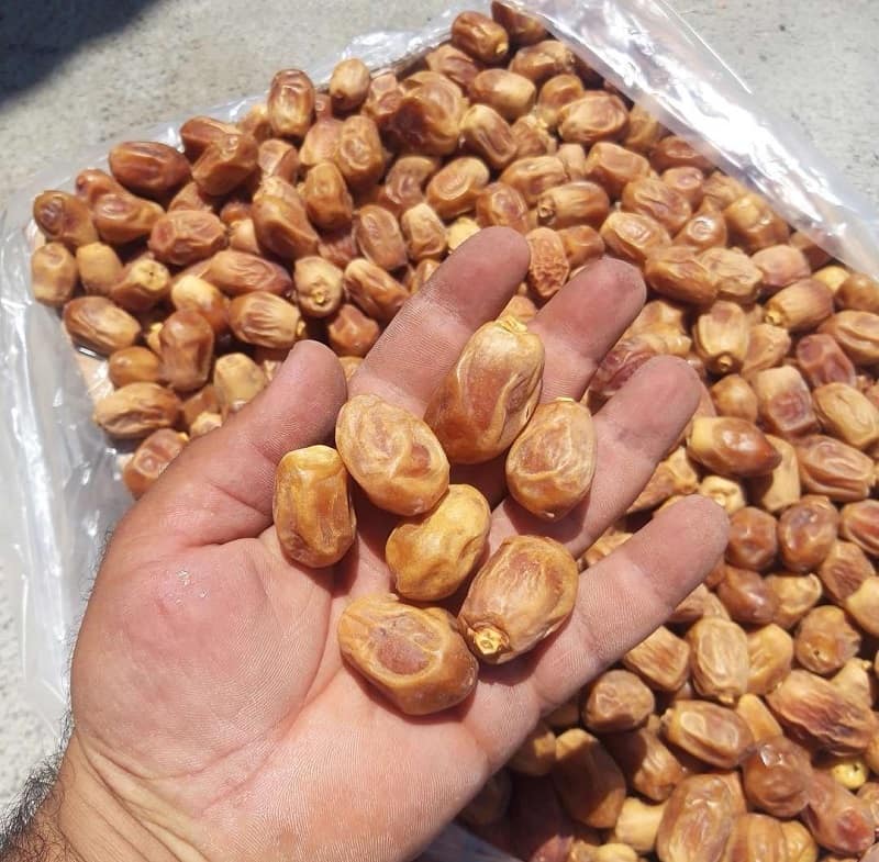 خرید خرمای زاهدی صادراتی