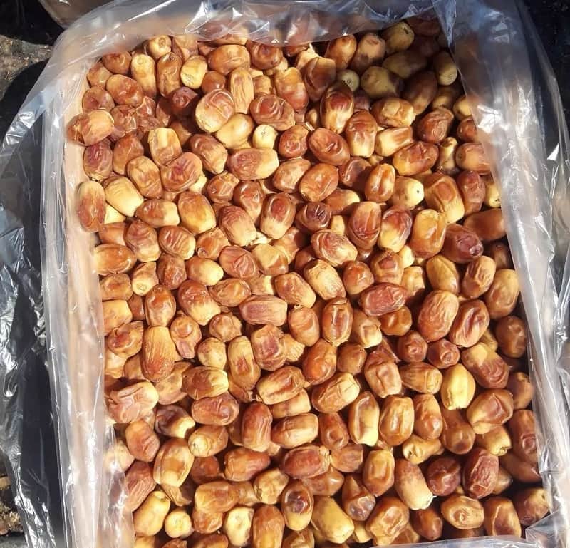 قیمت خرما زاهدی درجه یک