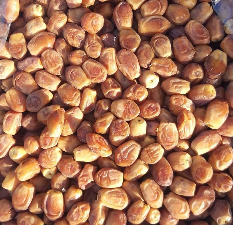 قیمت خرمای زاهدی فله 