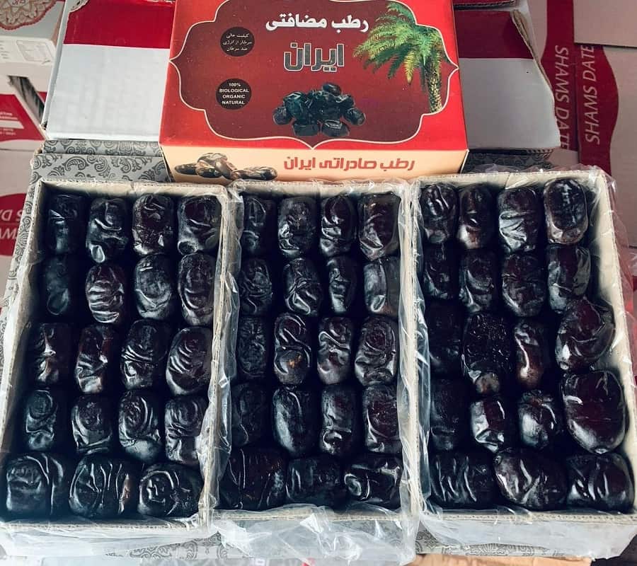 خرید عمده خرما مضافتی بم