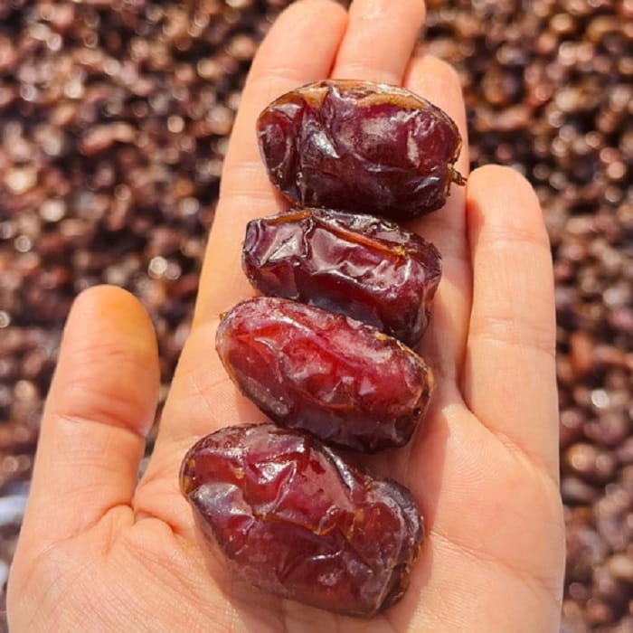 قیمت خرید خرمای کبکاب بوشهر