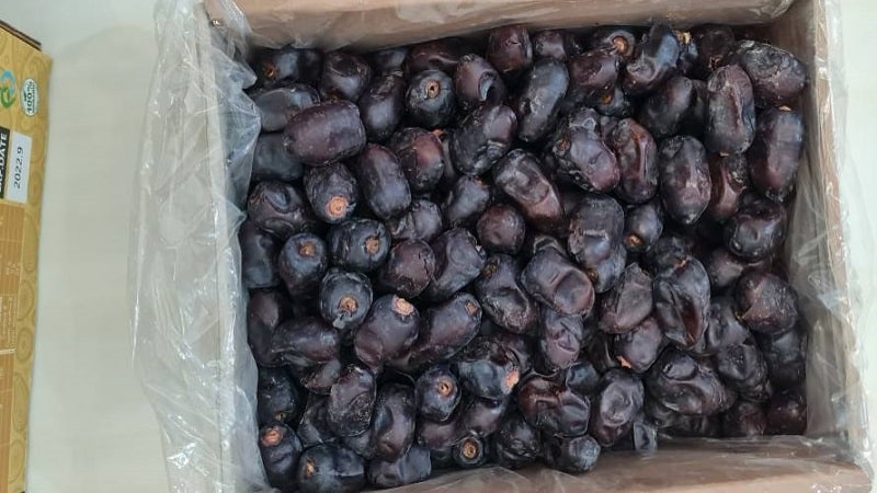 خرید عمده خرما مضافتی بم