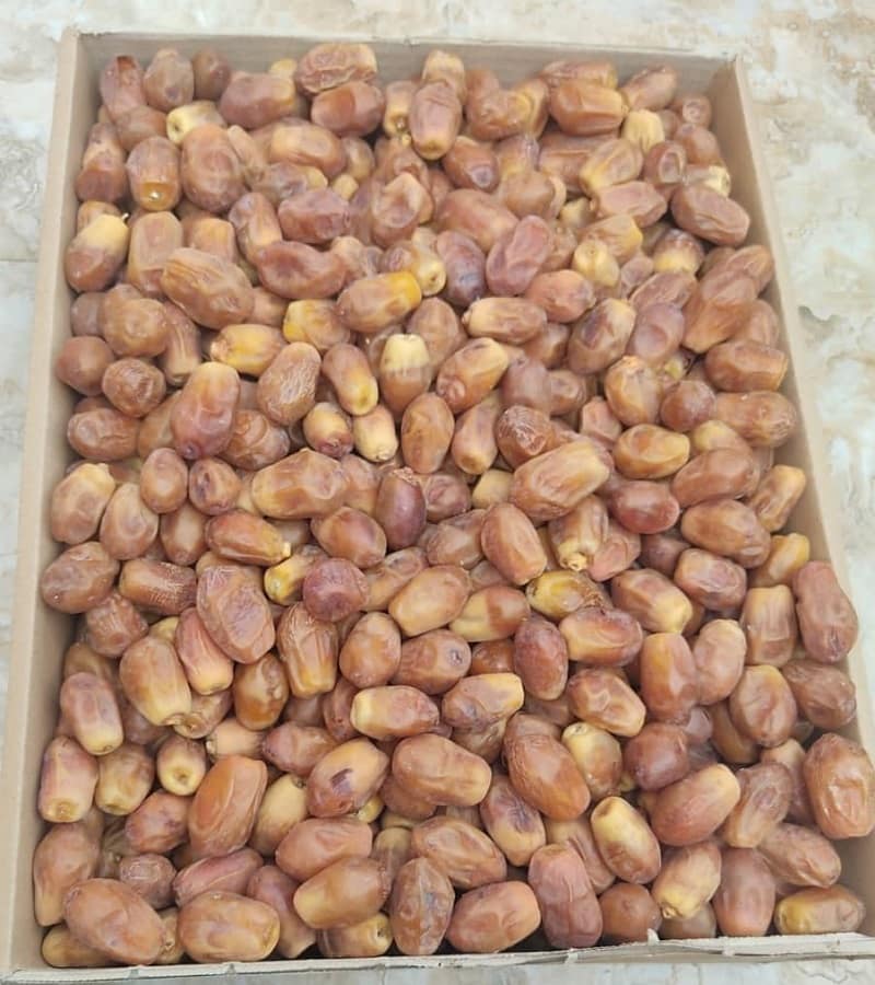 قیمت عمده خرما زاهدی درجه یک