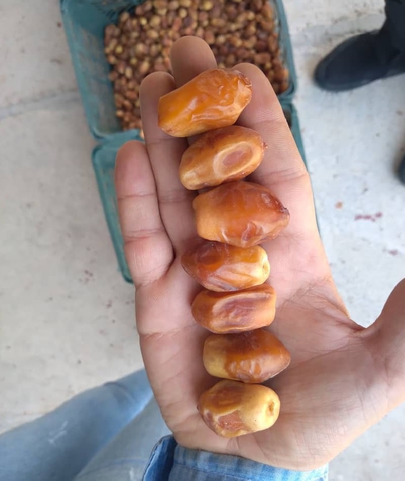 قیمت عمده خرمای زاهدی درجه یک