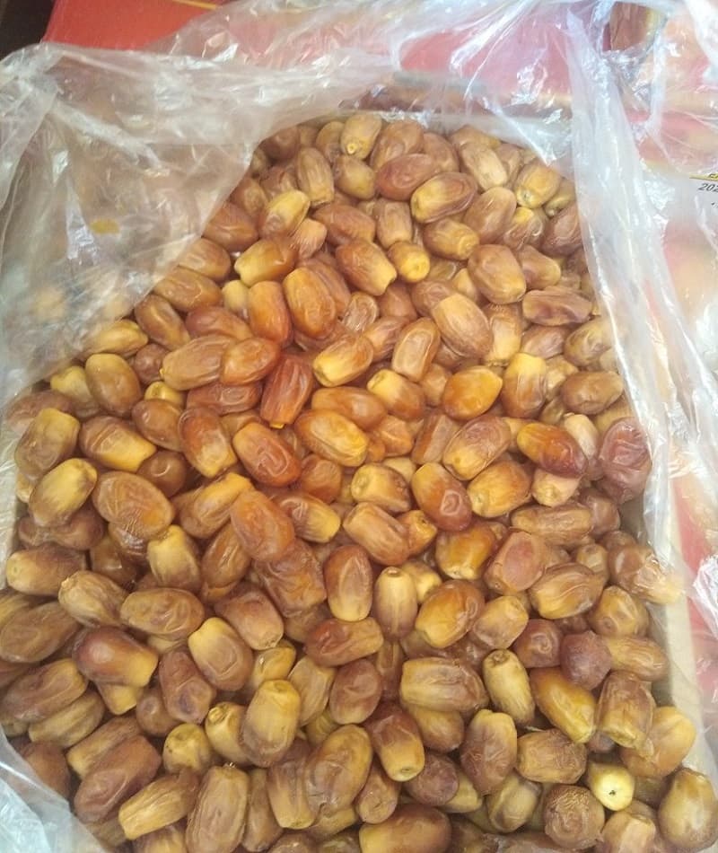 قیمت خرید خرما زاهدی بوشهر