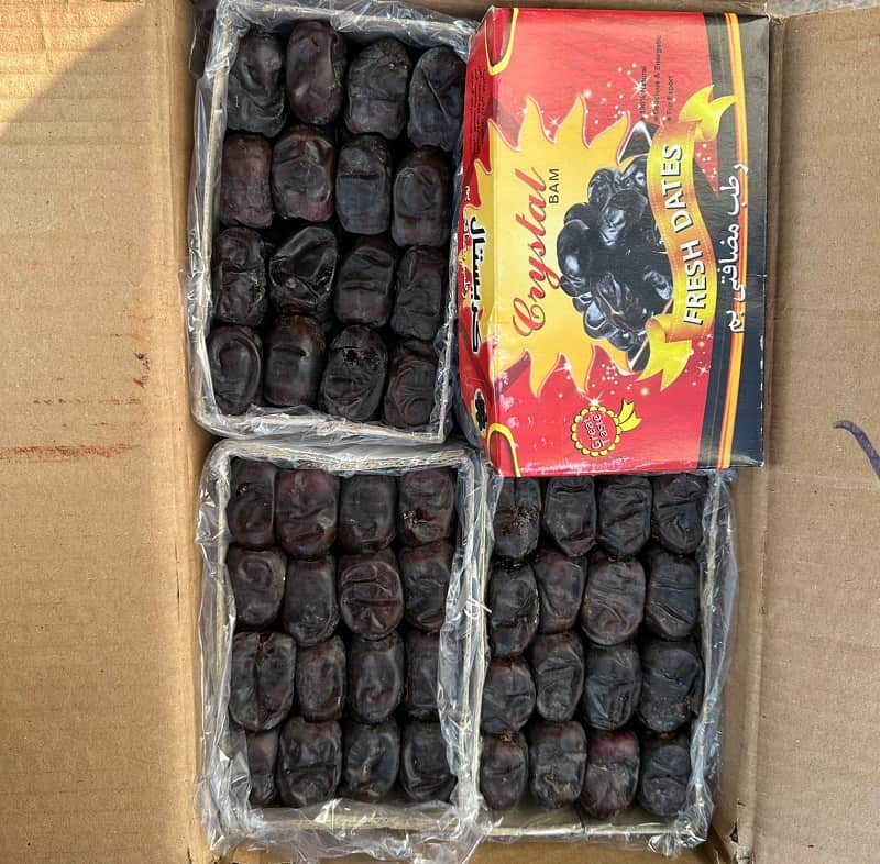 قیمت خرید خرما مضافتی عمده