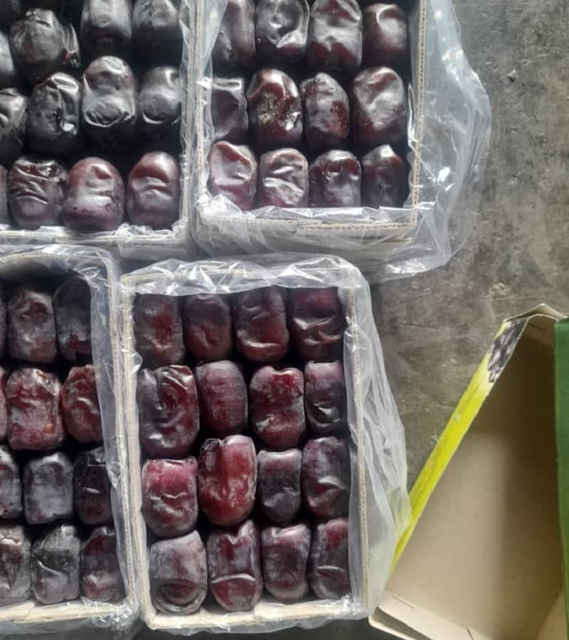 خرمای مضافتی درجه یک صادراتی هند