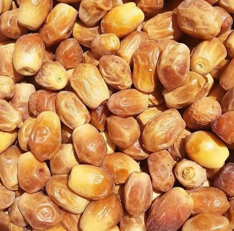 قیمت خرید عمده خرما زاهدی صادراتی