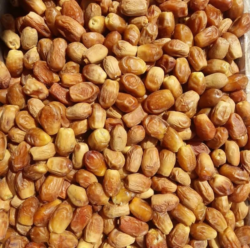 قیمت خرما زاهدی درجه یک بوشهر